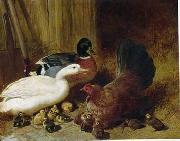 unknow artist Poultry 086 Sweden oil painting artist